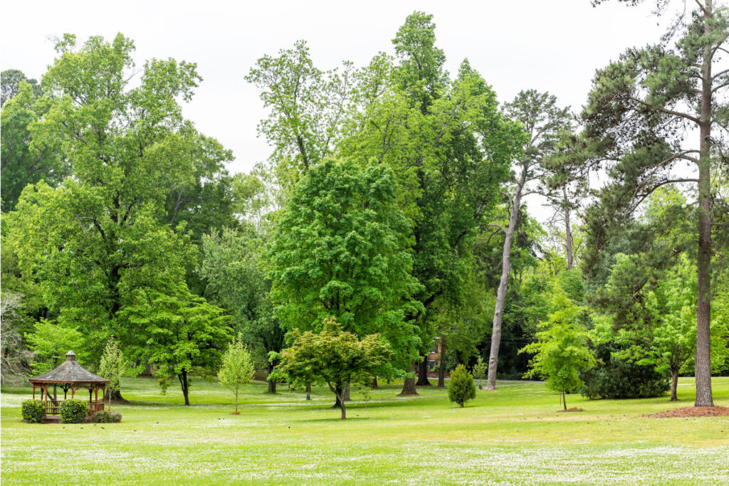 Double Tree Neighborhood in Southeast Huntsville